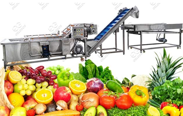 fruit vegetable washing machine