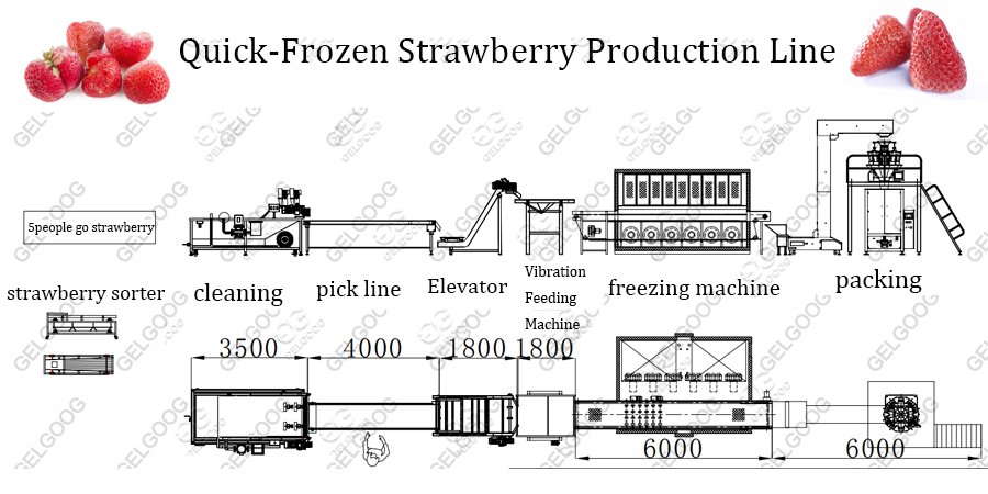 strawberry freezing machine line 