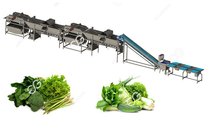 vegetable processing machine 
