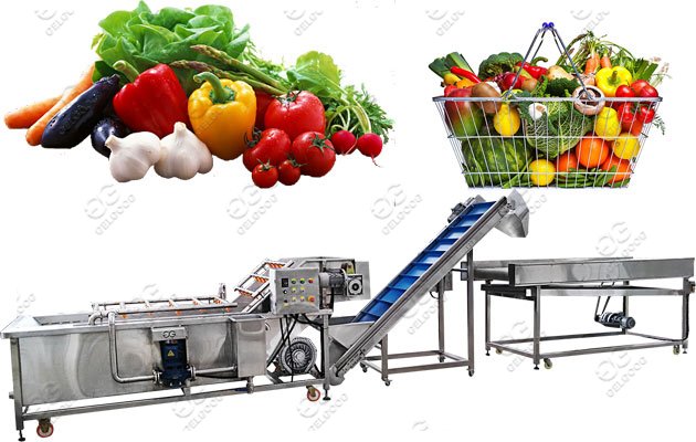 fruit vegetable washing drying machine