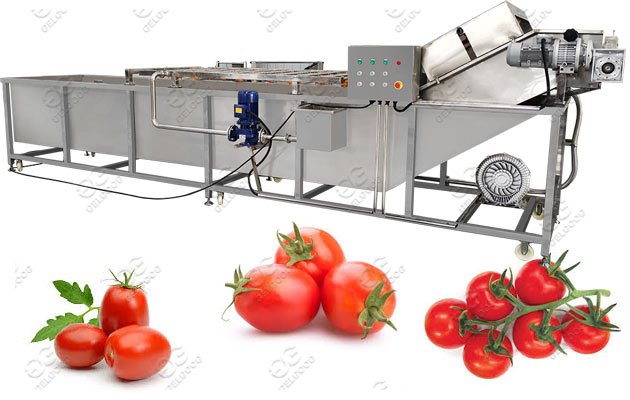 Stainless Steel Tomato Washing Machine Hot Sale