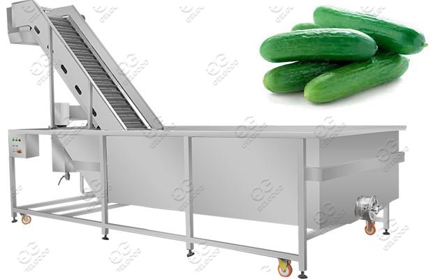 Cucumber Washing Machine|Gelgoog Cucumber Cleaning Equipment