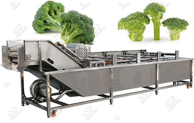 broccoli florets washing machine 