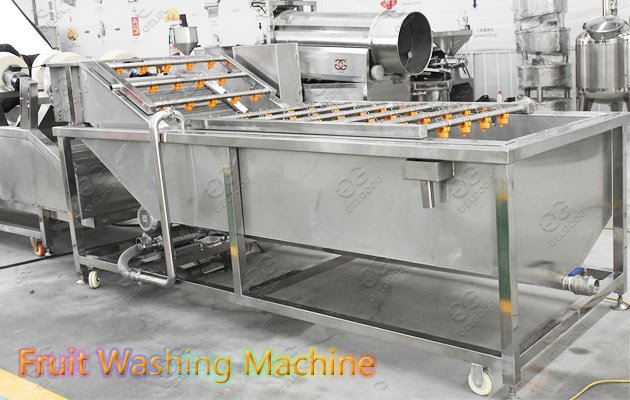 fruit washing machine 