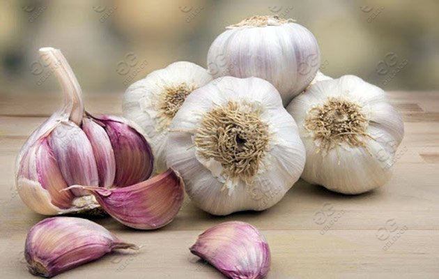 garlic separating  machine 