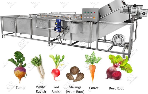 Beetroot Washing Machine|Radish Root Vegetable Washing Machine