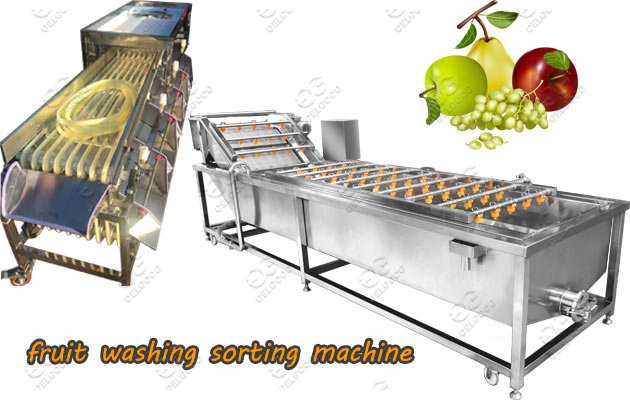fruit washing sorting machine 
