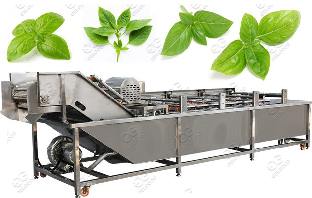 Commercial Use Herb Washing Machine Price