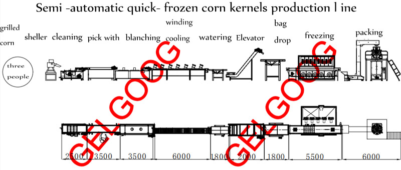 quick-frozen corn kernel production line