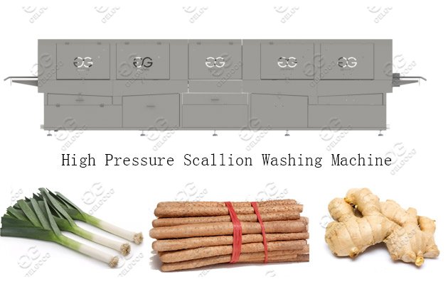 High Pressure Green Onion Scallion Cleaning Machine