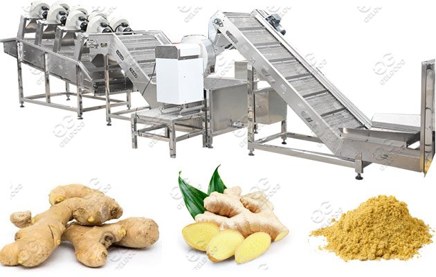 100kg/h Ginger Powder Process Machine Line