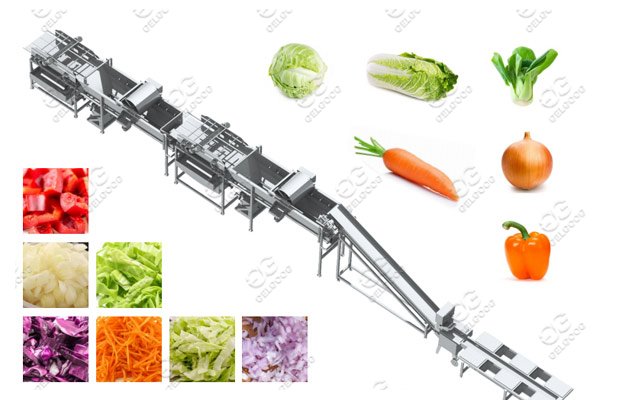 Fruit Vegetables Process Machine Line Solution