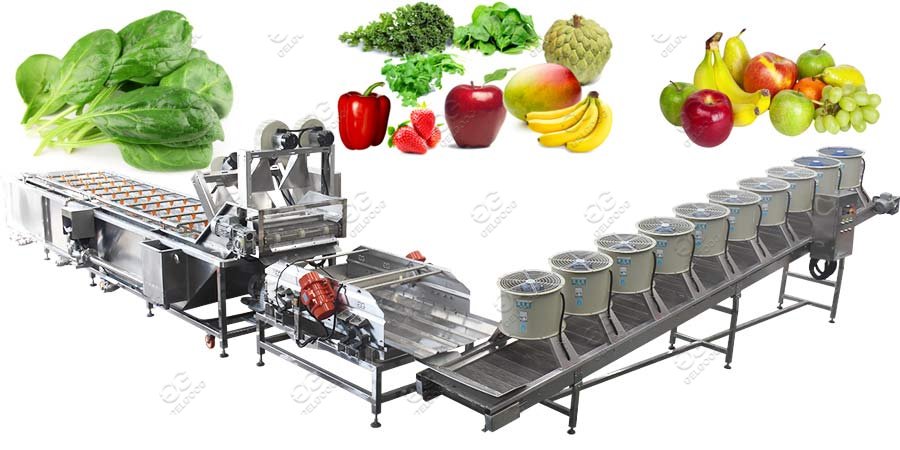 fruit vegetable washing machine line 