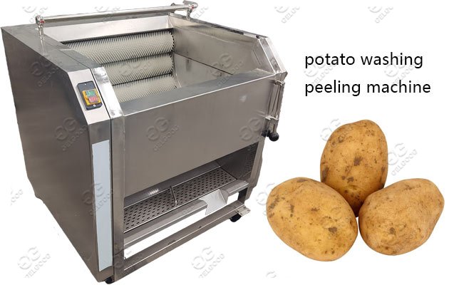 potato washing peeling machine line