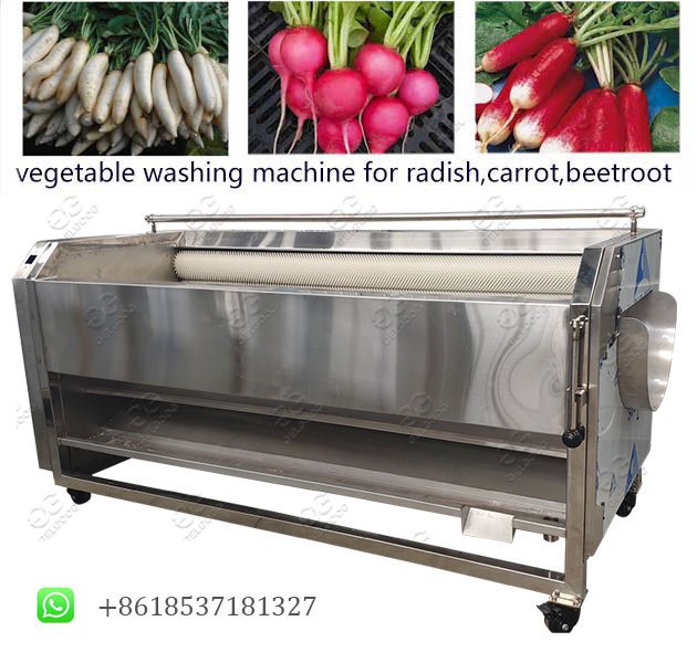 root vegetable washing peeling machine 