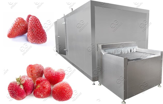 strawberry frozen machine sale 