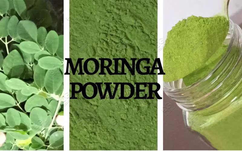 moringa leaf powder machine 