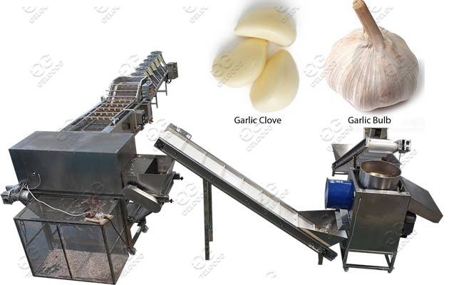 Industrial Garlic Clove Peeling Machine Line|Garlic Skin Remove Machine