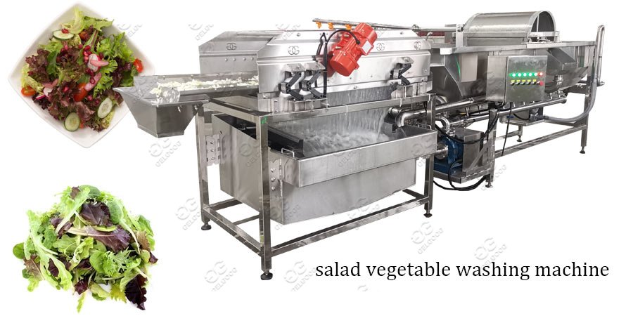 salad vegetable washing machine 
