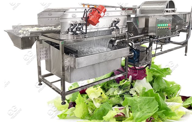 How To Wash Salad Vegetables:Salad Washing Machine Price