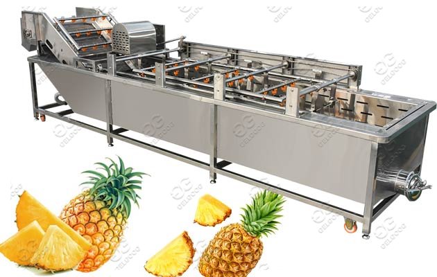 Air Bubble Pineapple Fruit Washing Machine For Commercial Use