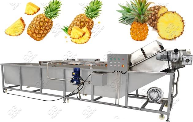 pineapple fruit washing machine 