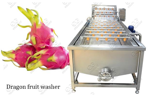 Commercial Use Dragon Fruit Cleaning Machine Hot Sale