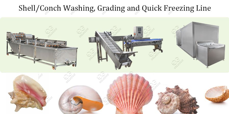 shell wasing gradiing and freezing machine line 