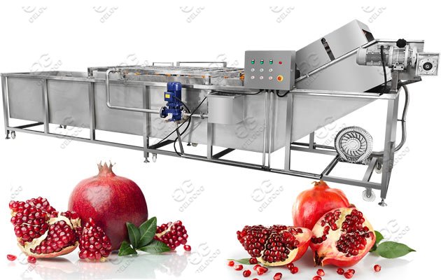 pomegranate cleaning machine 