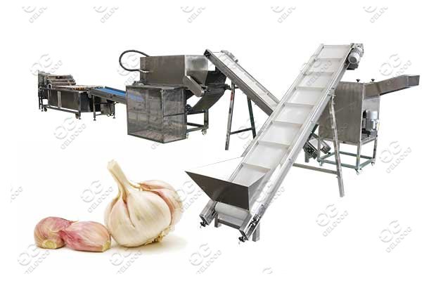 garlic process machine line 