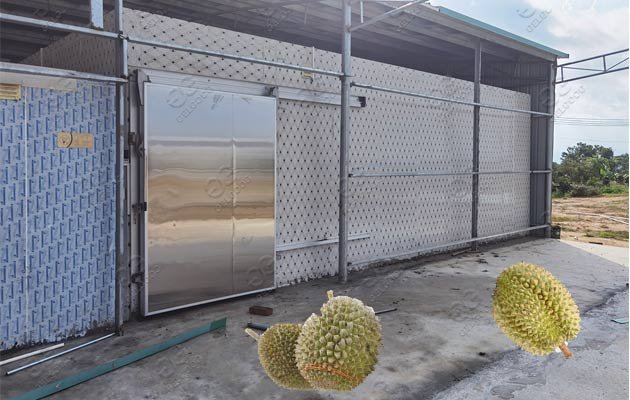 durian quick freezing cold storage 
