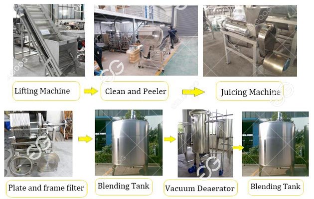 Ginger Juice Production Line Solution