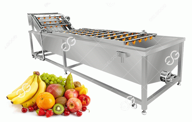 Commercial Use Fruit Washing Machine Price