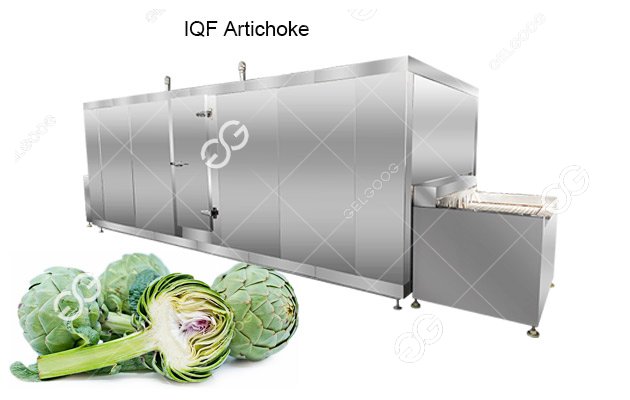 iqf freezer