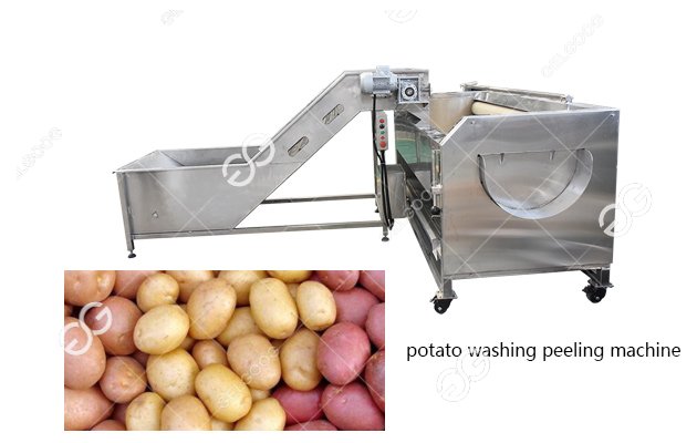 potato washing peeling machine 