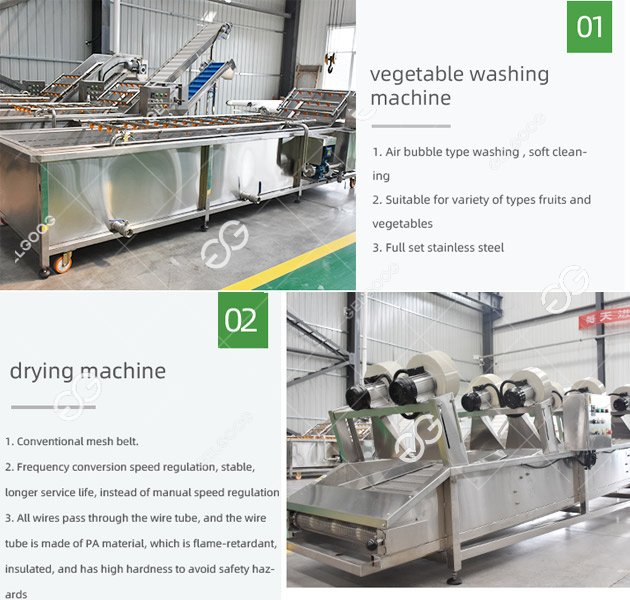 green bean washing drying machine line 