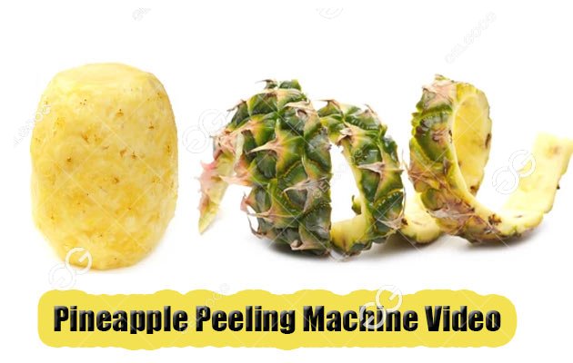 Commerical Use Pineapple Peeling Machine Price