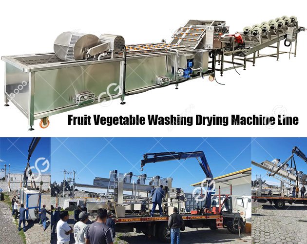 fruit vegetable washing drying machine line 