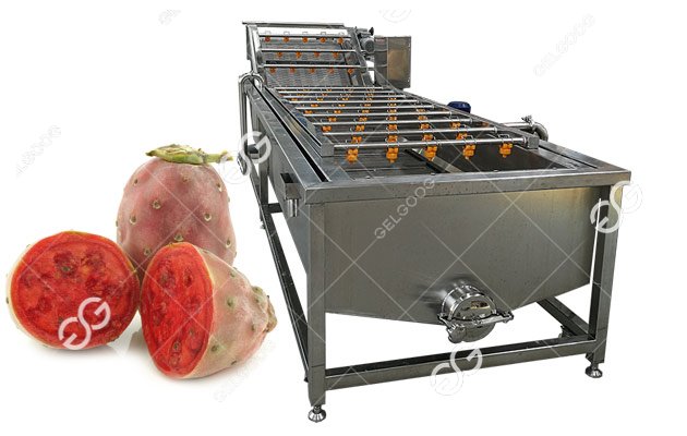 Commercial Use Prickly Pear Cleaning Machine