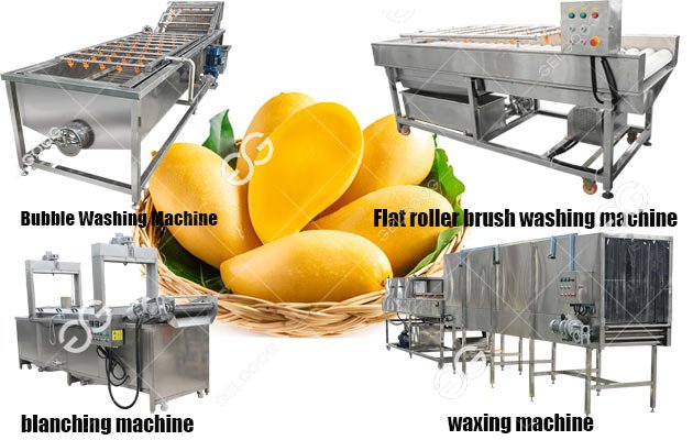 mango fruit washing waxing machine line 