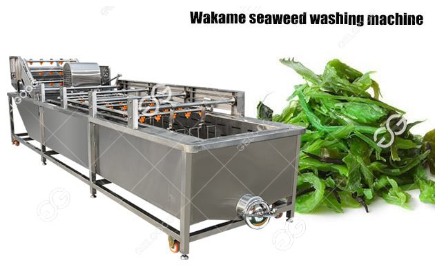 Industial Use Wakame Seaweed Washing Machine