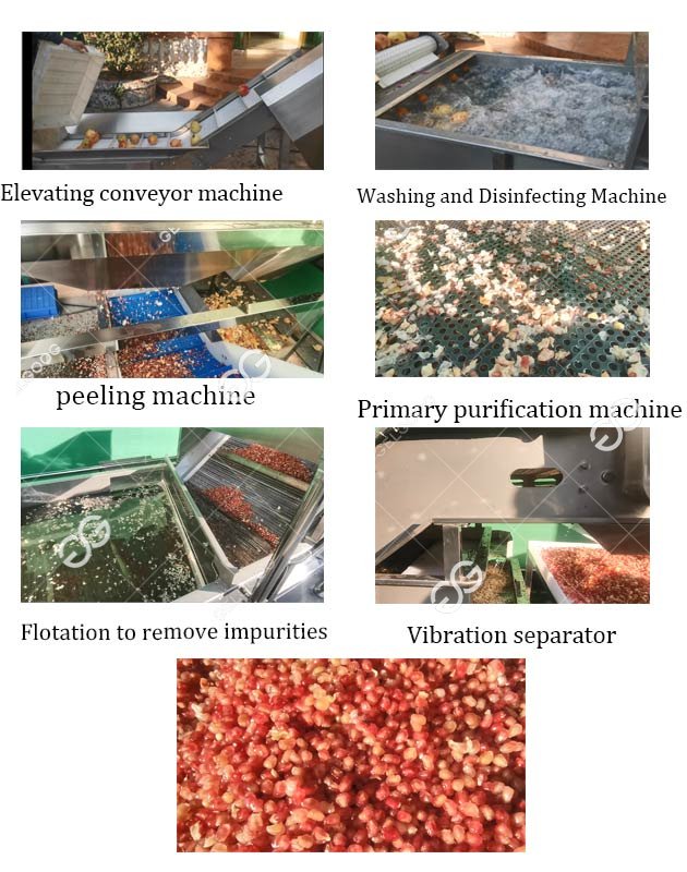 pomegrante peeling processing machine line 