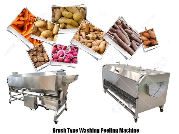 ginger washing peeling machine price 