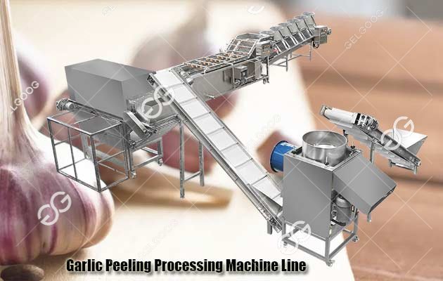 Garlic Peeling Production Line Introduction
