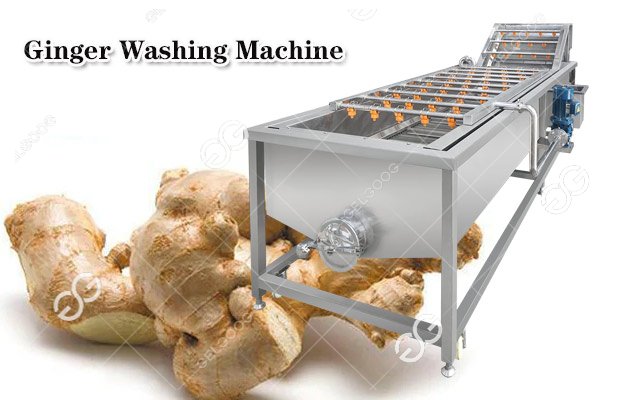 ginger washing machine price 