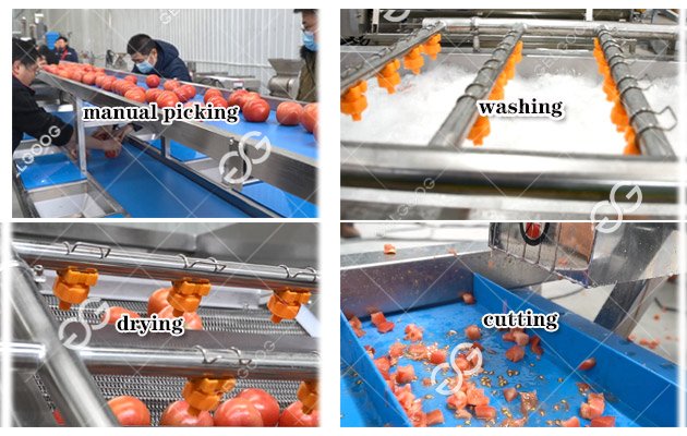 tomato washing cutting machine 