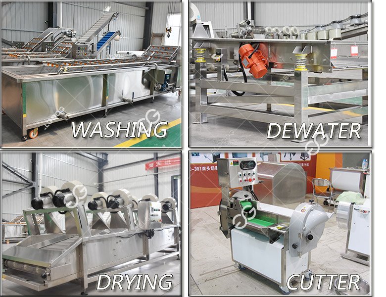 vegetable processing machine line 