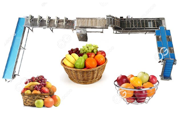 Introduce Of The Fruit And Vegetable Processing Line