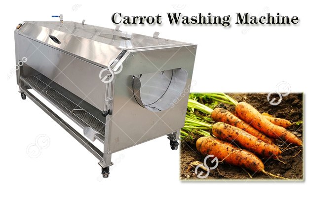 Commercial Use Carrot Washing Machine Hot Sale