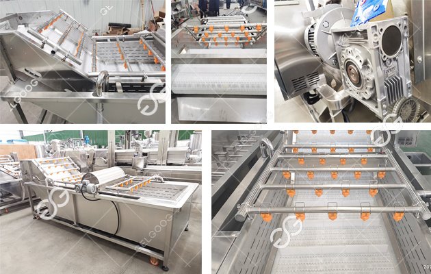 guava cleaning equipment 